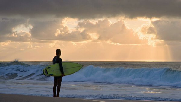 Lone Surfer Ocean Wave Ride