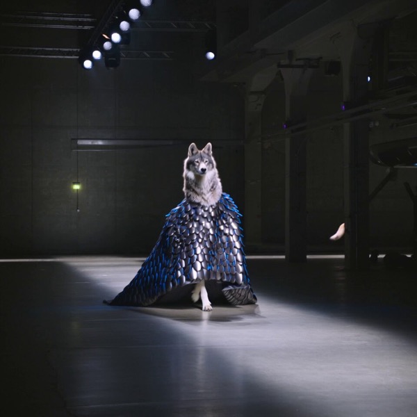 Animal High-Fashion Runway Show