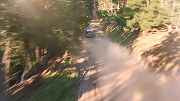 Rally Car Forest Stage Multi-Shots