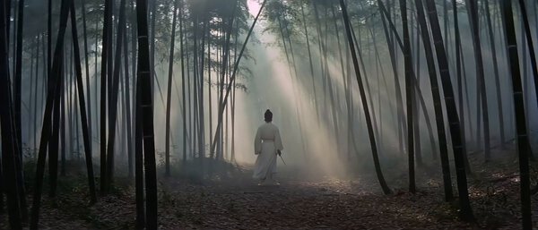 Wuxia Bamboo Forest Martial Arts