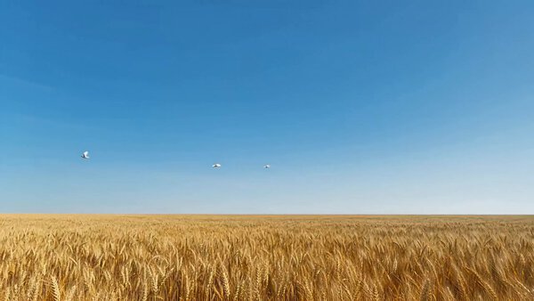 Surrealism Megalophobia Epic Visual Spectacle