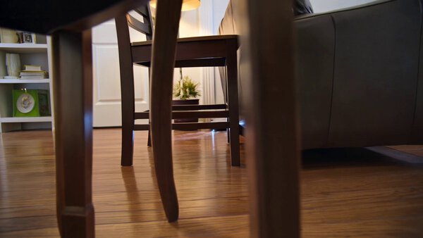 Living Room Roomba Racing Fun