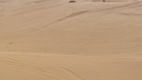 Dirt Bike Desert Racing Shots