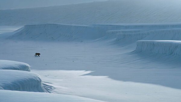 Kling Multi Shots Scene Aerial Wide Shot Endless Icy