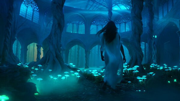 Handheld Tracking Camera Technique