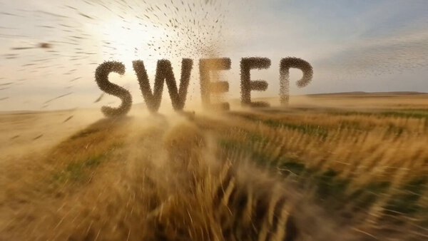 Autumn Leaves Forming Turn Text