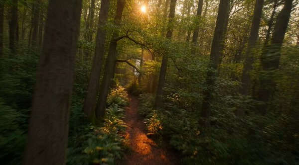 Hyperspeed FPV Forest Sunrise