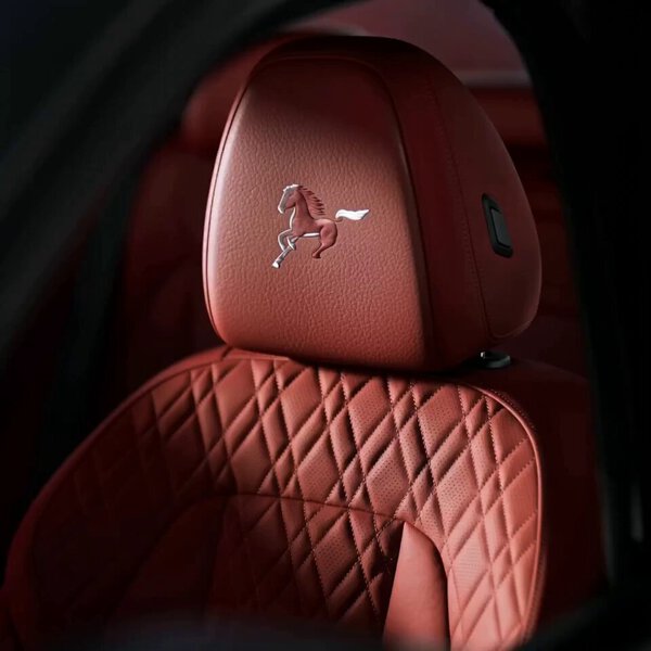 BMW Horse Year Limited Edition Ad