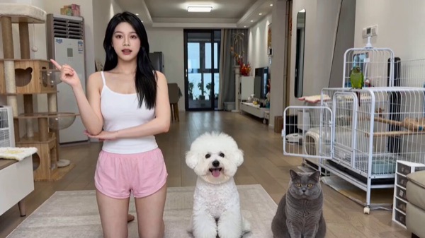 Actor Self-Cultivation Comedy