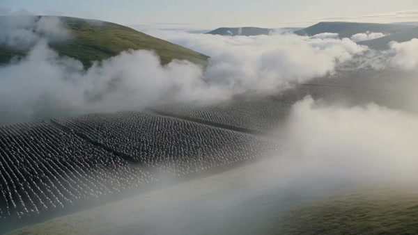 Medieval Battle Multi-Shot