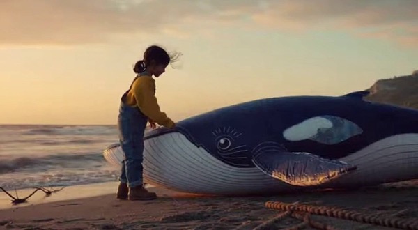 The Girl and the Whale Kite