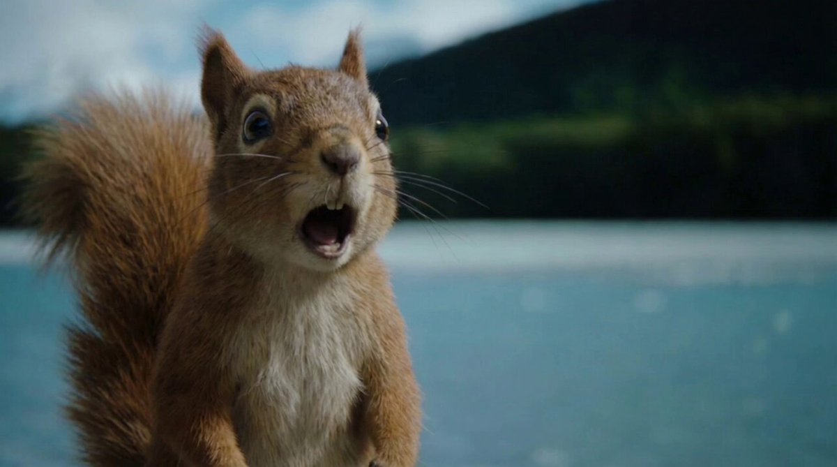 Squirrel and Seagull Conversation