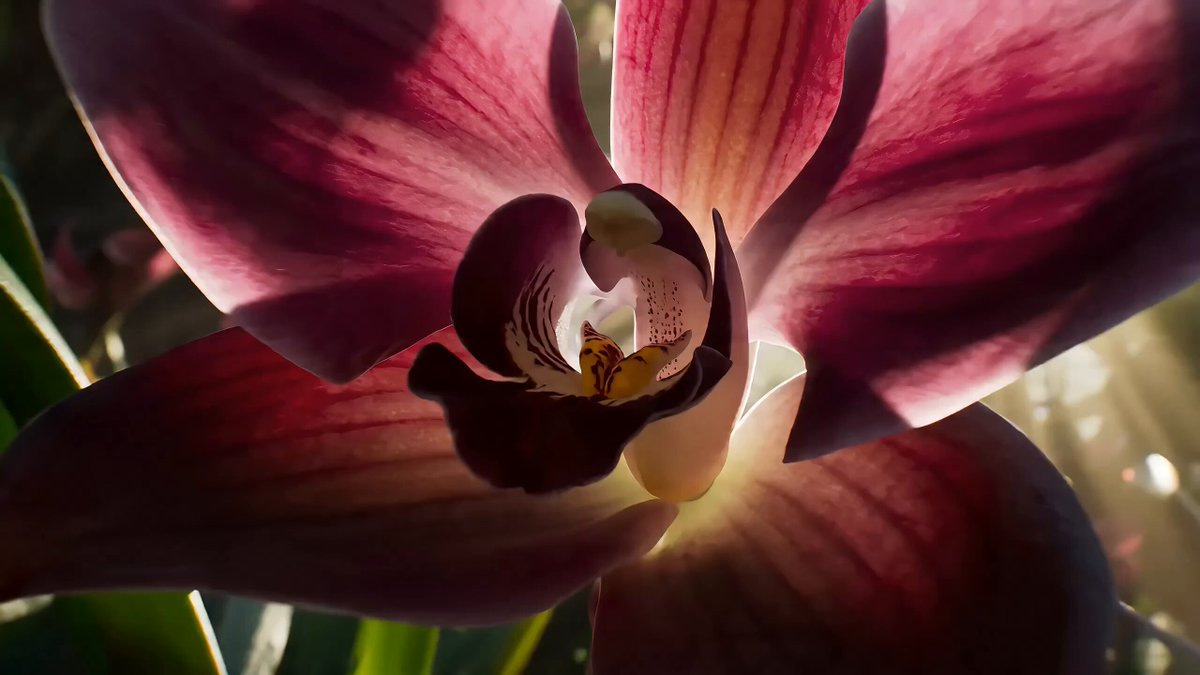 Bionic Hummingbird Moth Floral Chase