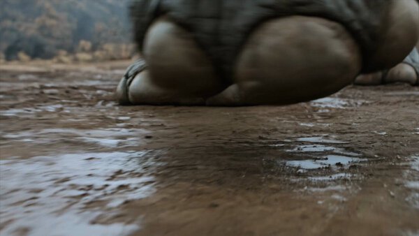 Elephant Stomp Tracking Shot