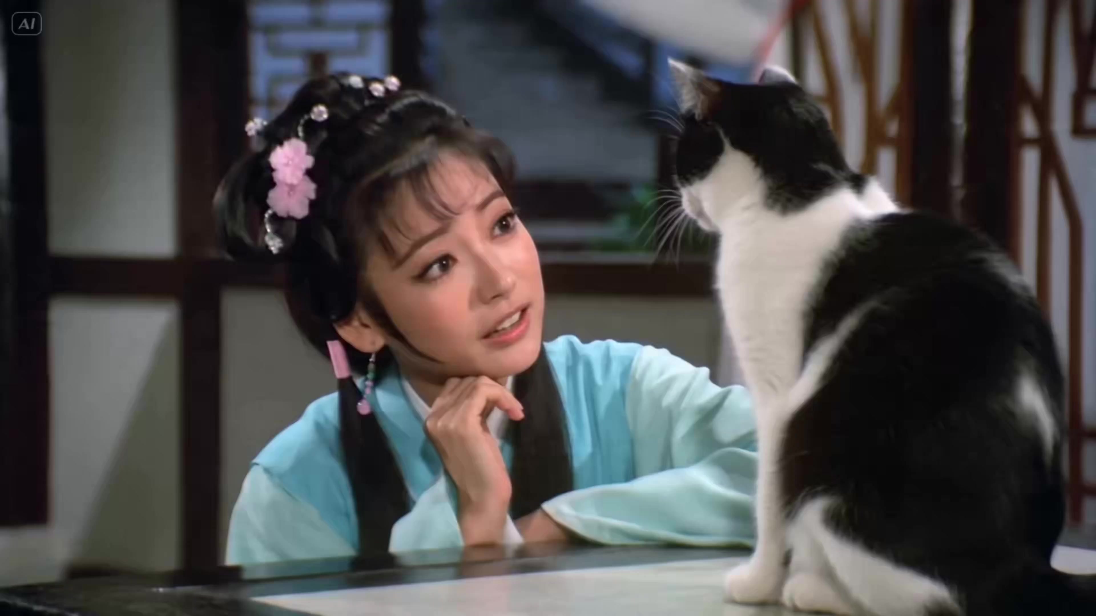 Hong Kong Wuxia Cat Transformation