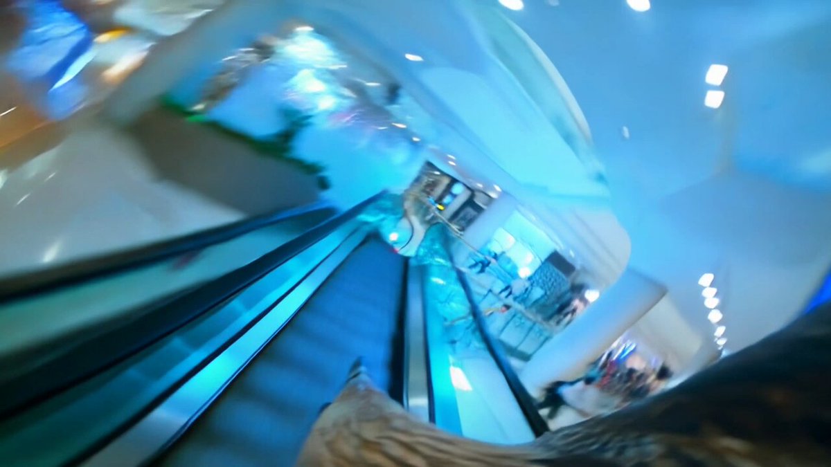 Eagle POV Mall