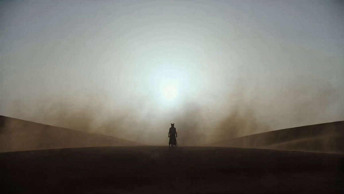 Desert Martial Arts Black Cat