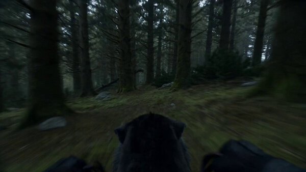 Spectacular Seedance 2.0 Video