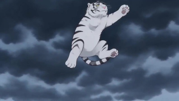 Cat Master Tiger Drop