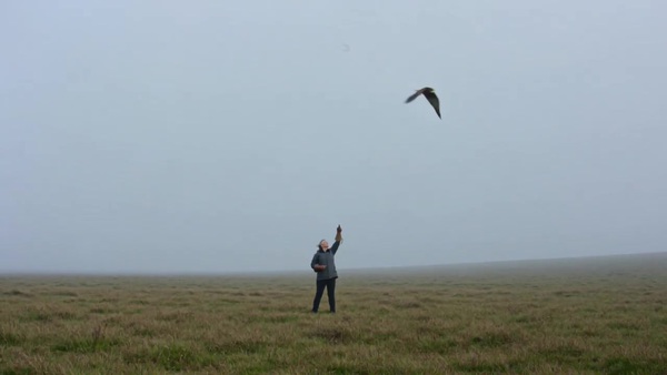 Falcon Multi-Shot Studio