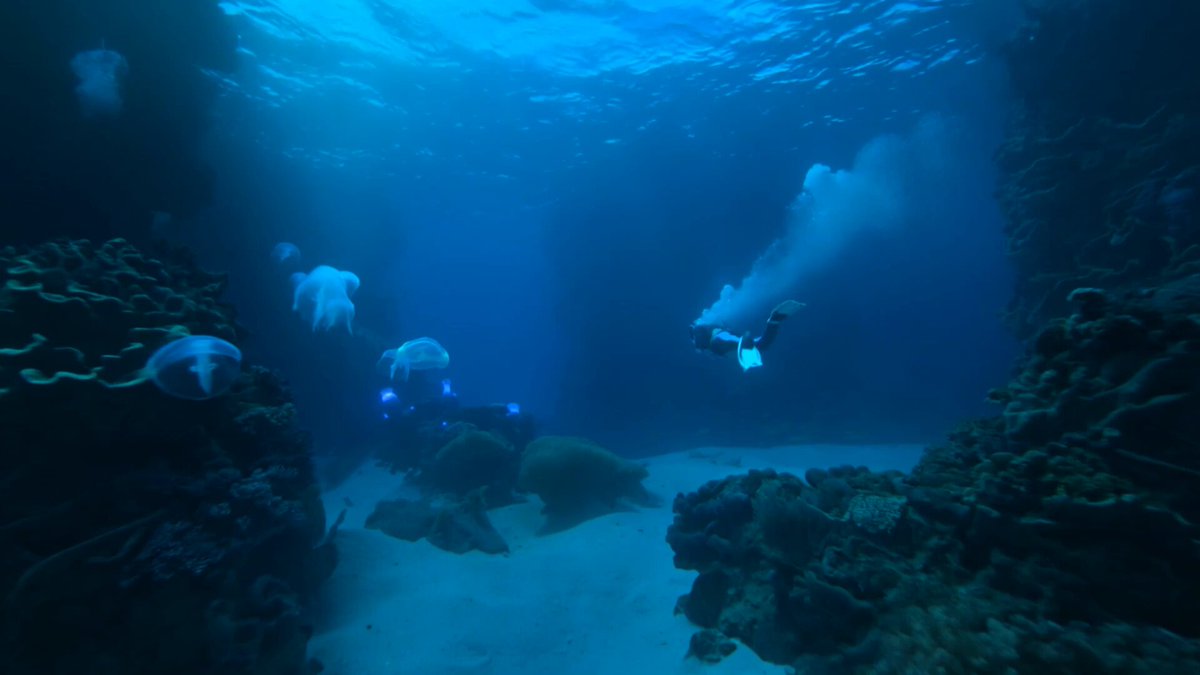 Deep Sea Diver Underwater